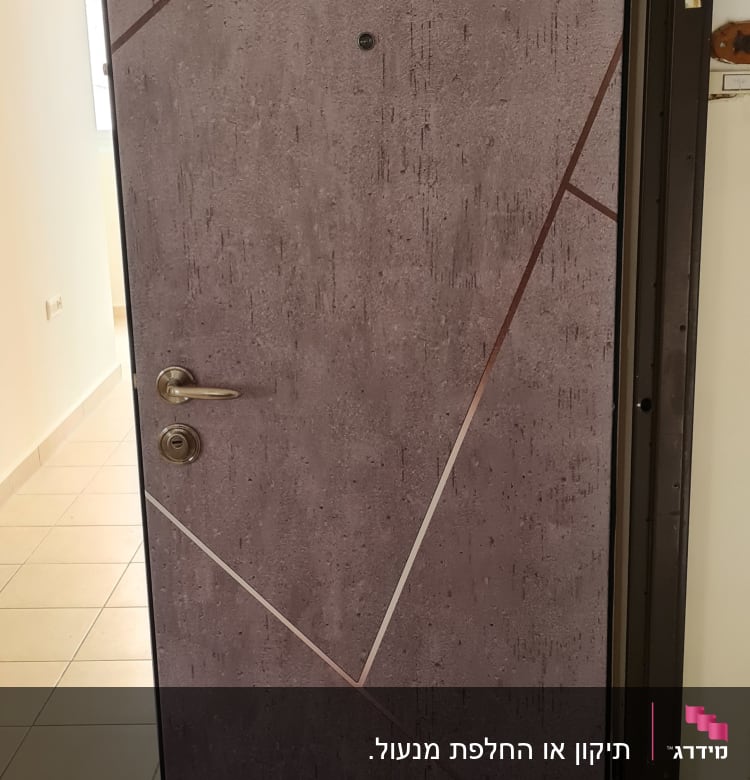 דלת עם ידית ומנעול כסופים